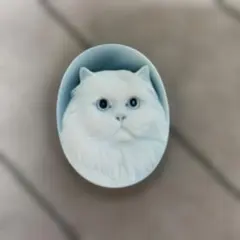 Item thumbnail for item 5a93d7f9-7cd0-480d-a9f0-a1174d782764