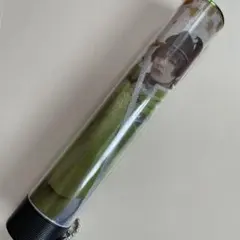 Item thumbnail for item 924e66ba-cb49-4e4d-9126-f276c70cef48