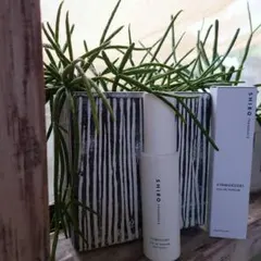 SHIRO キンモクセイ set