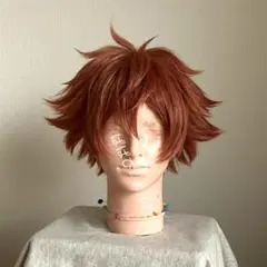にじさんじ 宇佐美リト コスプレウィッグ - メルカリ