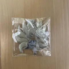 アクリルキーホルダー 名探偵コナン