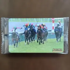 メイショウタバル カード