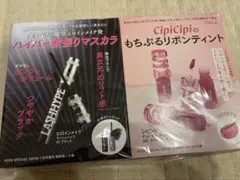 VoCE 3月号増刊　付録セット