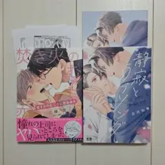 BLコミックセット　▽