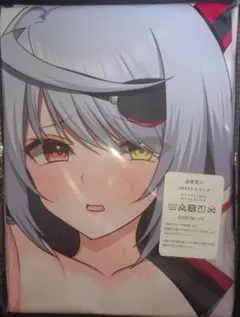 【抱き枕カバー】IS インフィニット・ストラトス ラウラ・ボーデヴィッヒ ㉕-3