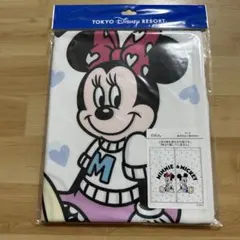 ディズニーリゾート ミニー　ミッキー のれん　仲良しクラブのサムネイル