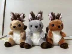 くったりエゾリス　コンプリート　LMC 3点セット