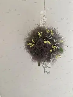 灯台守の植物園 ～herbier de brume～ ドライフラワー リース - メルカリ