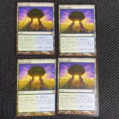 Item thumbnail for item ef27e322-4c88-4a4e-8e33-4409247b0883