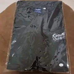 Item thumbnail for item 4eca8cc0-6dda-40bc-9381-58974b71c944