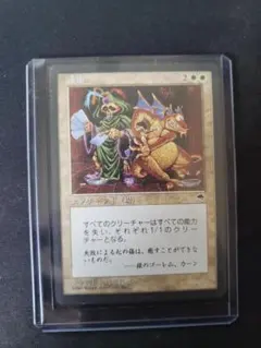 AMLS 日本語版 観察に基づいたアプローチ - メルカリ