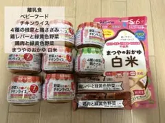 離乳食 ベビーフード 12個セット
