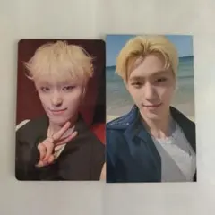 FML 会場限定 トレカ 東京 ディノ セット