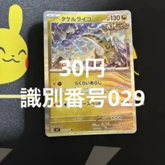 タケルライコ 識別番号029