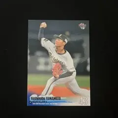 BBM 2006 オリックス バファローズ BsM2 中村紀洋 ジャージーカード