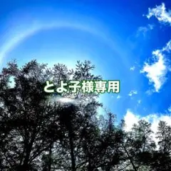 とよ子様専用‼️天然花わさび葉わさび 400g ネコポス発送のサムネイル