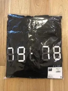 Item thumbnail for item 563eb1bc-f10e-4196-a171-5ac2dd4b85f2