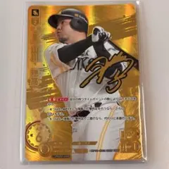 2026年最新】山川穂高 ドリームオーダーの人気アイテム - メルカリ