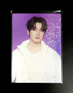 SEVENTEEN FOLLOW TO JAPAN ウォヌ　トレカ