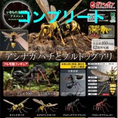 アシナガバチとブルドッグアリ フィギュア全4種4点セット