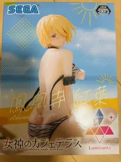 美少女フィギュアまとめ売り　牧瀬紅莉栖　鳳凰寺紅葉　加藤恵　桜島麻衣　乾紗寿叶 2026年最新】鳳凰寺紅葉フィギュアの人気アイテム - メルカリ