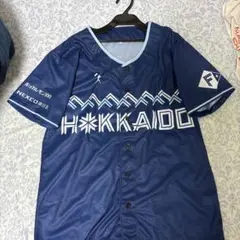 北海道日本ハムファイターズ　we love hokkaidoユニフォーム