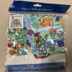 TOKYO DISNEY RESORT キャラクタータオル
