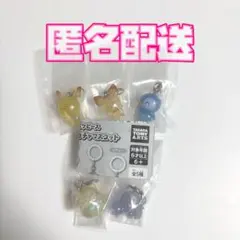 ポケモン　ポケピース　めじるしガチャ　5個セット