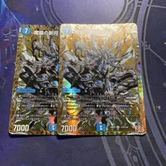 オルゲイト　シク　シークレット　2枚