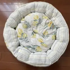 ニトリ ペットベッド Nクール 抗菌防臭 レモンのサムネイル