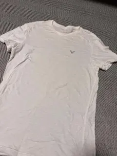 AMERICAN EAGLE ホワイト Tシャツ
