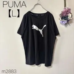 プーマ トレーニングTシャツ 半袖 ロゴプリント ブラック PUMA 【L】