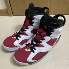 Nike Air Jordan 6 Carmine ジョーダン6 カーマイン