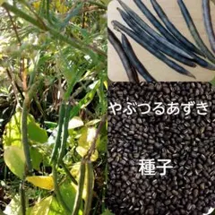 はるあ9232様 リクエスト 2点 まとめ商品