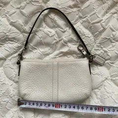 ♥COACH ベージュ レザー ポーチ 保存袋付き - メルカリ
