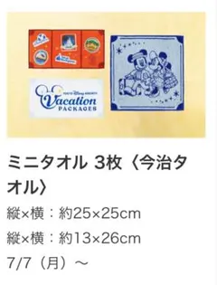 ディズニー　バケパ　ミニタオル3枚セット《非売品》