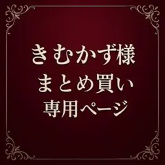 きむかず様　リクエスト　5点
