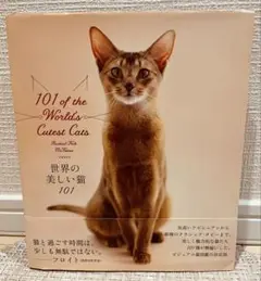 世界の美しい猫101(猫写真集)