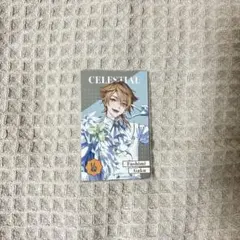 伏見ガク メタルカード