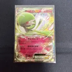 2026年最新】ポケモン カード サーナイトソウルリンク XY11の人気