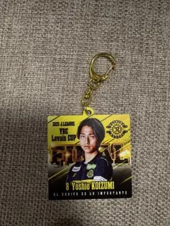 Item thumbnail for item e10ef867-1313-4661-8a61-6d10ff4b323d