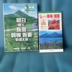 Item thumbnail for item ba01bd2f-671b-40df-92ff-727a5505cb93