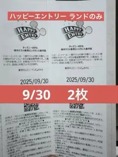 ハッピーエントリー　ハピエン　5枚　 5月３日　通行証 2025年最新】ハッピーエントリー通行証の人気アイテム - メルカリ
