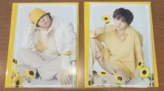 世界and佐藤大樹　SUNFLOWER フォカード2枚セット