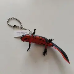 ガチャ カプセルトイ