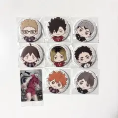 蓮*。様 ♡ハイキュー!! セガラッキーくじ　缶バッジ まとめ売り♡