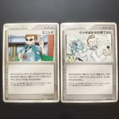 ポケモンカード2枚セット　エニシダ、ウツギはかせの育てかたのサムネイル