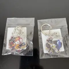 アクリルキーホルダー 2種類セット