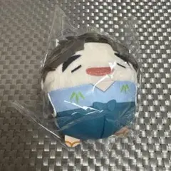 わ*お様 忍たま乱太郎 ふわコロりん 竹谷八左ヱ門