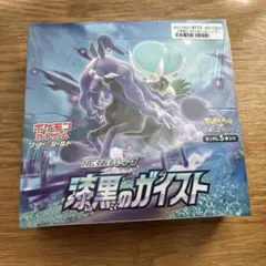 2026年最新】漆黒のガイスト box 未開封の人気アイテム - メルカリ